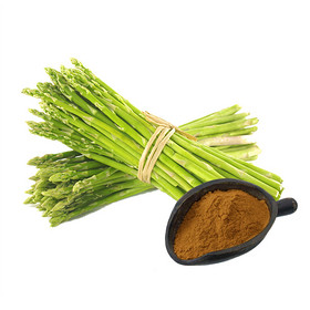 Hunan Nutramax 10:1 Asparagus Extract Powder