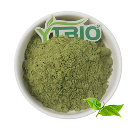 Green tea powder