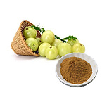 Hunan Nutramax 4:1-20:1 Amla Fruit Extract Powder with Natural Vitamin C