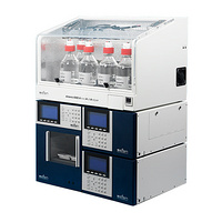 Amino Acid Analyzers SCION Artemis 6000