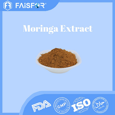 Wholesale Moringa Extract Powder Suppliers in China