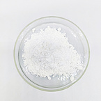 Avibactam Sodium