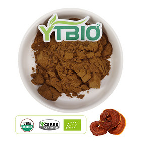 Organic reishi mushroom extract