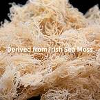 Bulk 10:1 Irish Sea Moss Extract