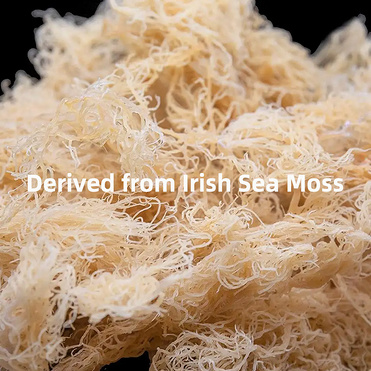 Bulk 10:1 Irish Sea Moss Extract