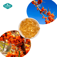 Sea Buckthorn Softgel Capsules