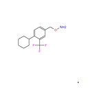 Siponimod Intermediates