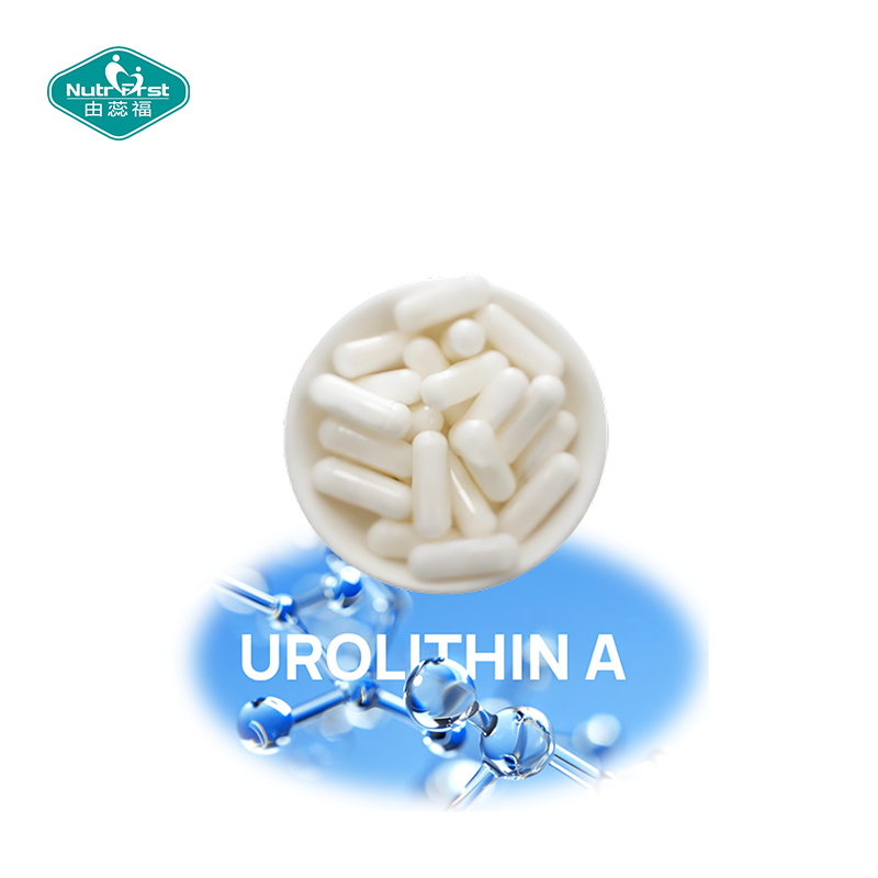Nutrifirst Custom Customization OEM Urolithin A Capsules  
