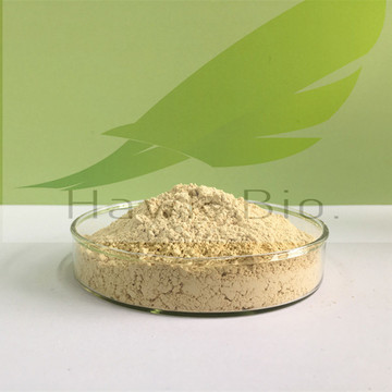 Micronised Purified Flavonoid Fraction  (MPFF)  