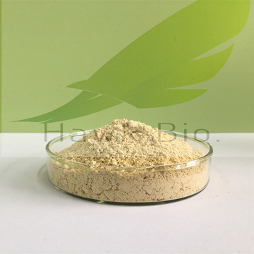 Micronised Purified Flavonoid Fraction  (MPFF)  