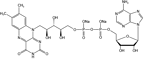 Flavin adenine dinucleotide disodium salt（FAD-Na2）-84366-81-4