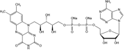 Flavin adenine dinucleotide disodium salt（FAD-Na2）-84366-81-4