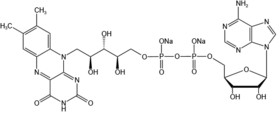 Flavin adenine dinucleotide disodium salt（FAD-Na2）-84366-81-4