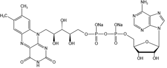 Flavin adenine dinucleotide disodium salt（FAD-Na2）-84366-81-4