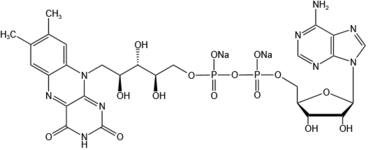 Flavin adenine dinucleotide disodium salt（FAD-Na2）-84366-81-4