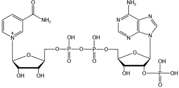 β-Nicotinamide adenine dinucleotide phosphate