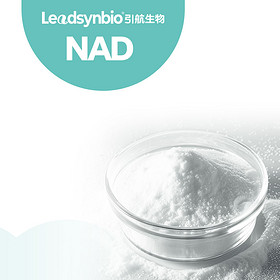 β-Nicotinamide Adenine Dinucleotide (NAD+)