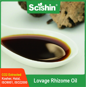 LigusActiv® Lovage Rhizome Oil  CO2 Extracted Manufacturer