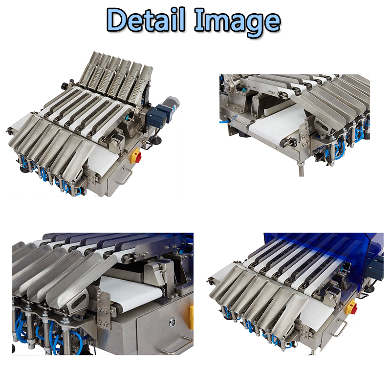 SG-XM Individual Stick Packs Multi-line Checkweigher Weighing System (2-12 lane)  