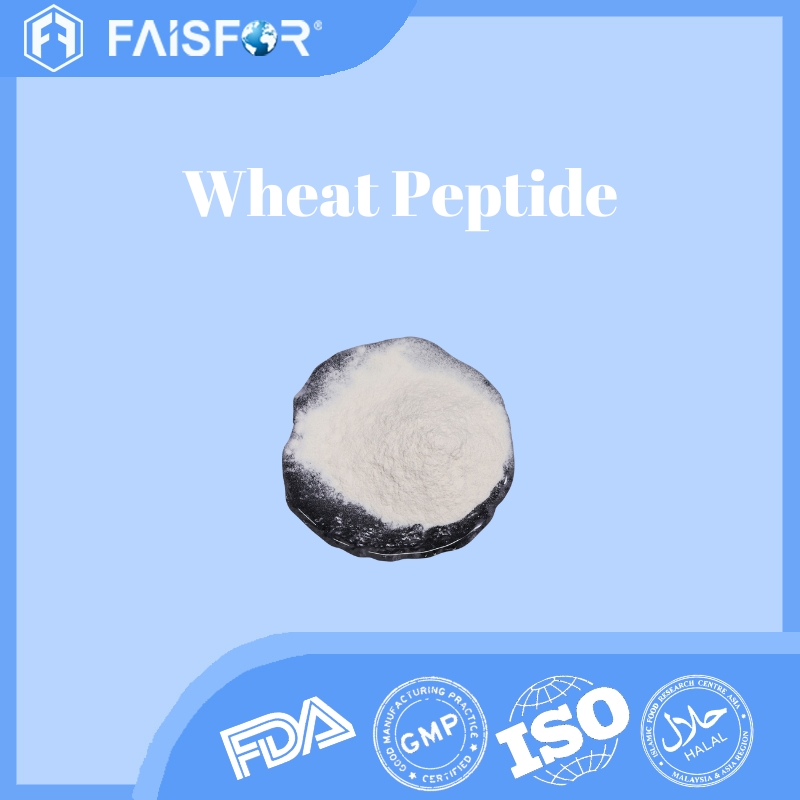 Bulk Pure Wheat Peptide for Sports Nutrition and Supplements  