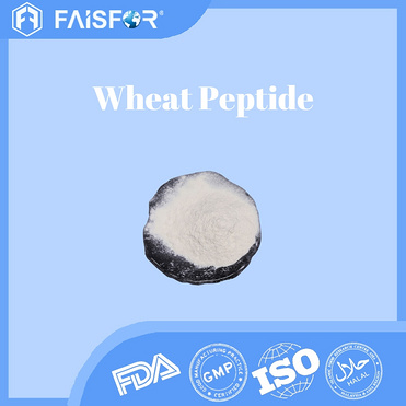 Bulk Pure Wheat Peptide for Sports Nutrition and Supplements