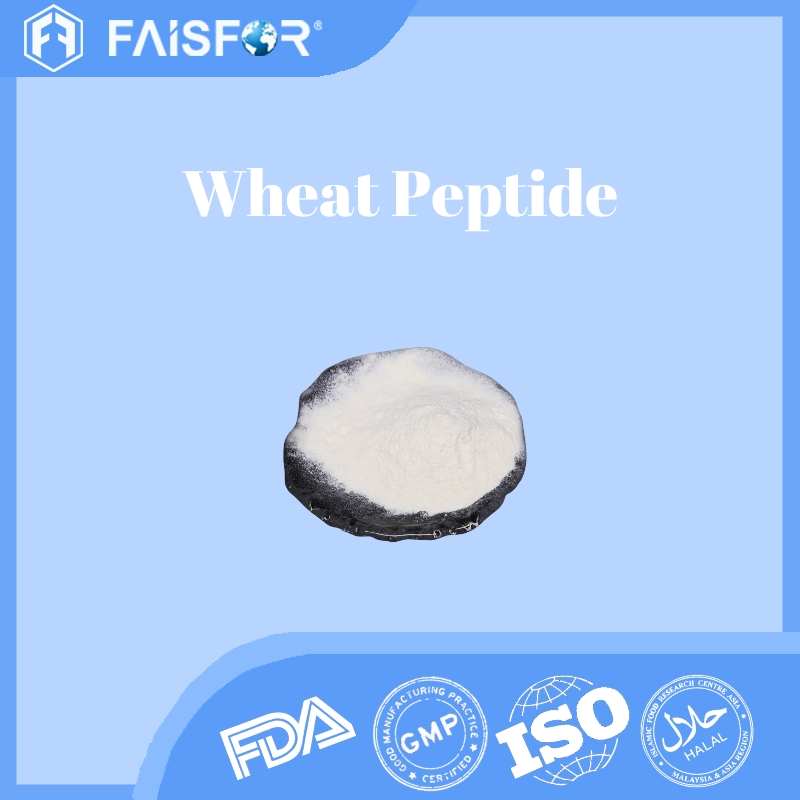 Bulk Pure Wheat Peptide for Sports Nutrition and Supplements  