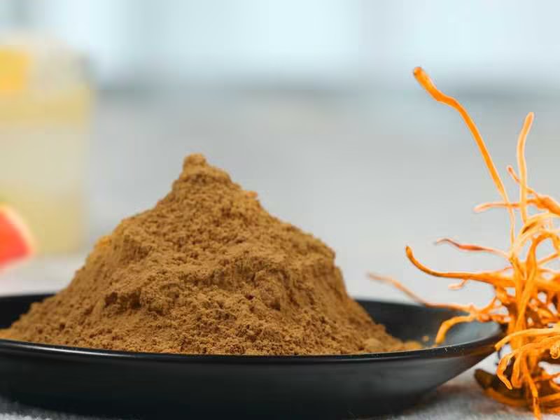 Organic Cordyceps militaris powder