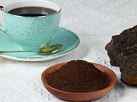 Organic Chaga (Inonotus obliquus) Dual Extract 8:1