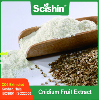 Cnidium Fruit Extract CO2 Extracted