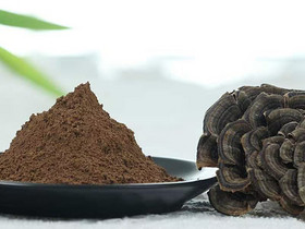 Organic Turkey tail (Tramates versicolor) Powder