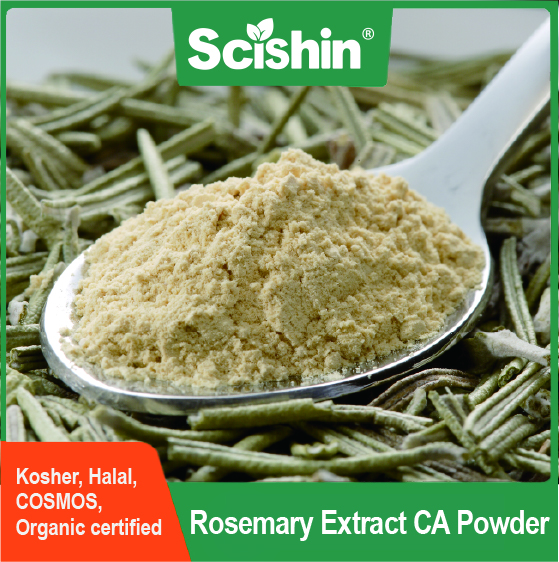 RosActiv® Rosemary Extract Manufacturer Natural Antioxidants