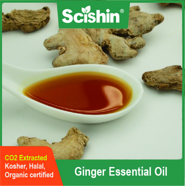 GINTRUE® Ginger Essential Oil Ginger Oil CO2 Extracted