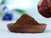 Organic Reishi ( Ganoderma lucidum) Dual Extract 15:1