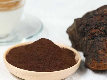 Organic Chaga (Inonotus obliquus) Extract 8:1