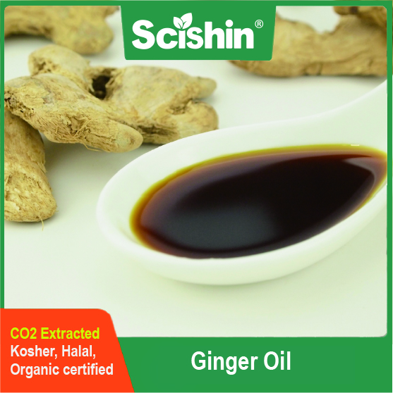 GINTRUE®Ginger Oil Gingerols18%-35% Nutrition and Health Oil