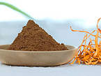 Organic Cordyceps militaris Extract 8:1