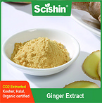 GINTRUE® Ginger Extract Ginger Powder CO2 Extracted