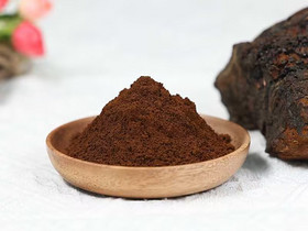 Organic Chaga (Inonotus obliquus) Powder