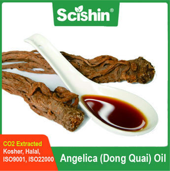 Angelica (Dong Quai) Oil Angelica Root Oil CO2 Extracted Pure and Natural