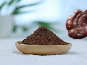 Organic Reishi（Ganoderma lucidum） Powder