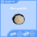 Manufacturer Pure Rice Protein Peptide for Innovative Food Ingredients