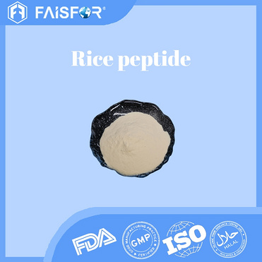 Manufacturer Pure Rice Protein Peptide for Innovative Food Ingredients