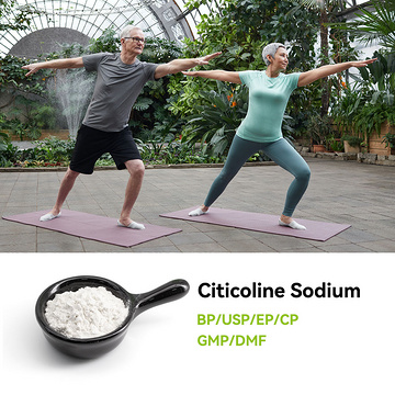 Citicoline Sodium  