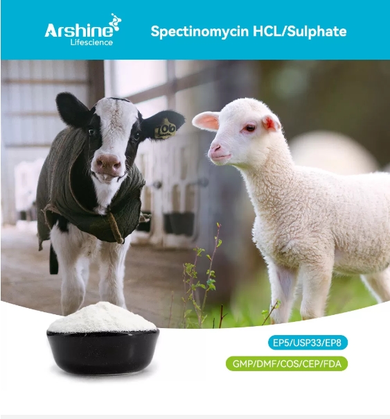 Spectinomycin HCL/Sulphate