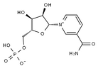 β-Nicotinamide Mononucleotid