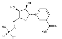 β-Nicotinamide Mononucleotid