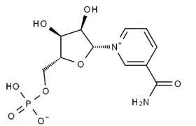 β-Nicotinamide Mononucleotid