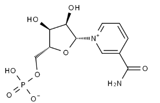 β-Nicotinamide Mononucleotid