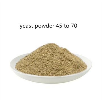 yeast powder 50%  