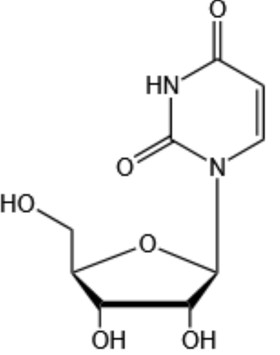 Uridine（UR）